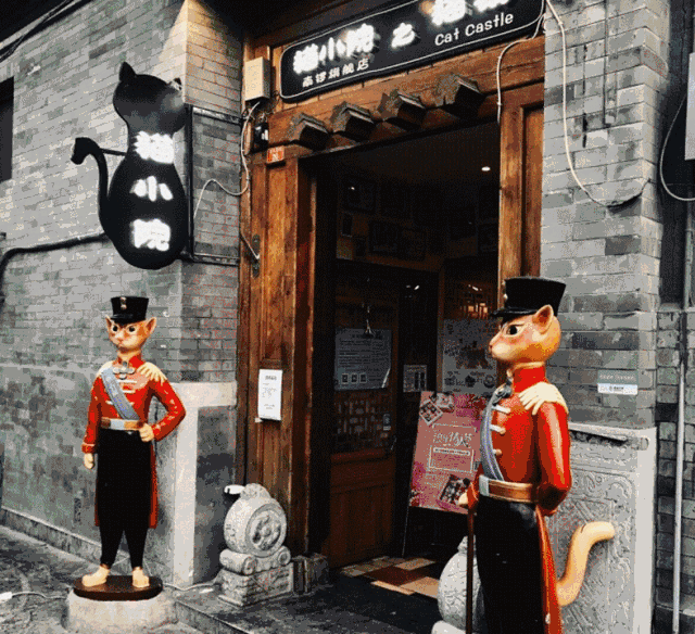 中国"猫咪经济"有望超越日本 "空巢青年"已成养猫大户