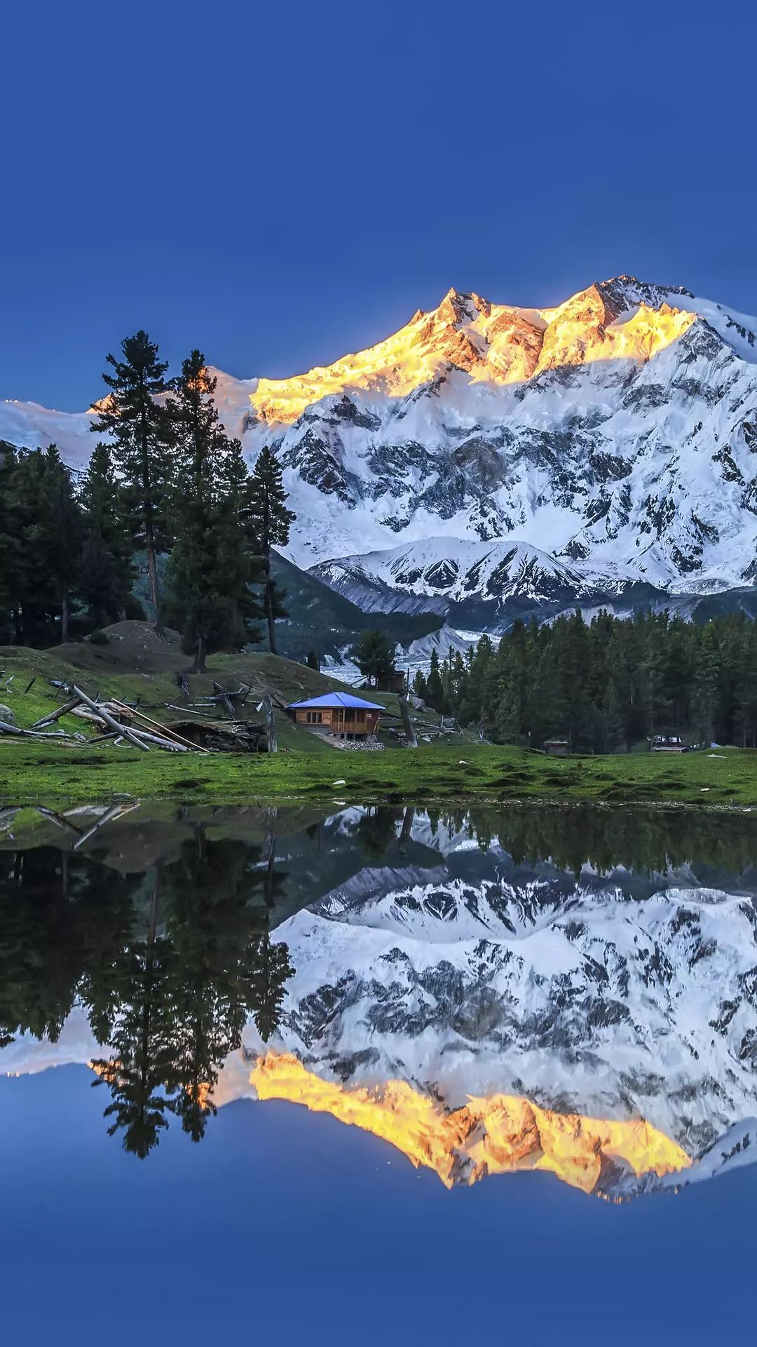 高考数学解析几何考点结论大全
