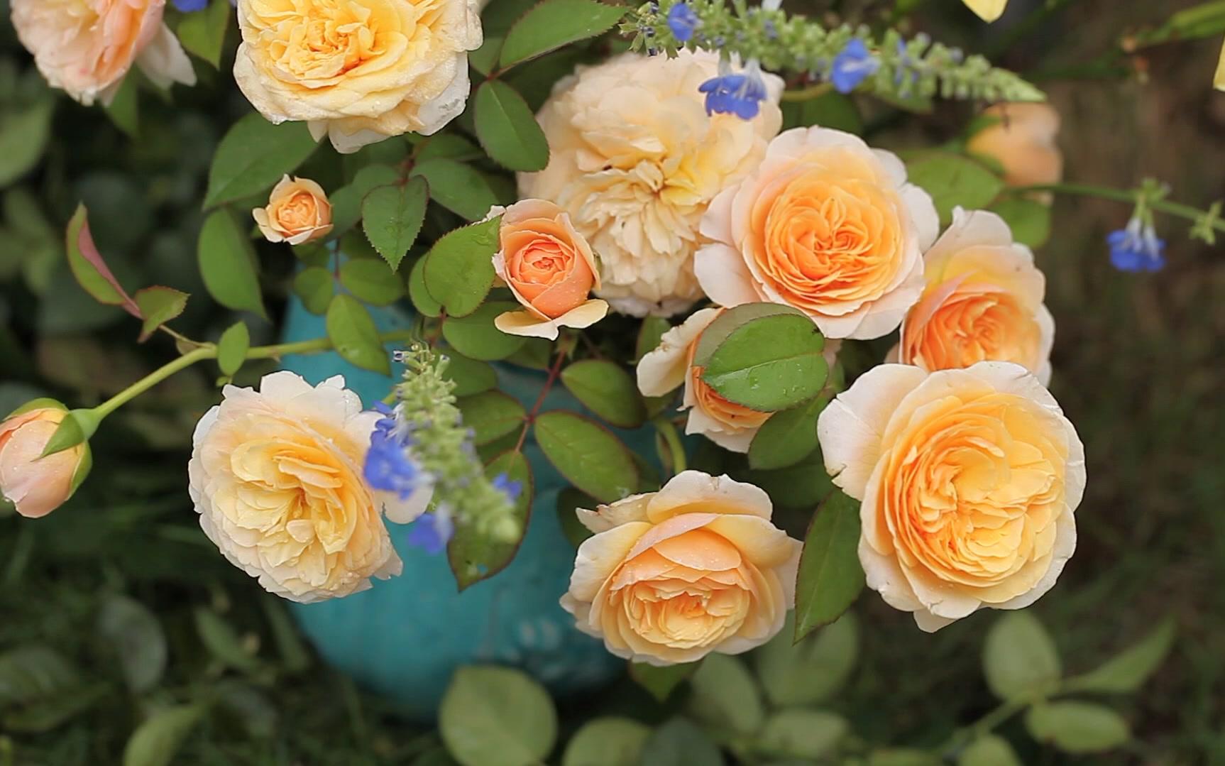 朱丽叶 - 热门商品专区