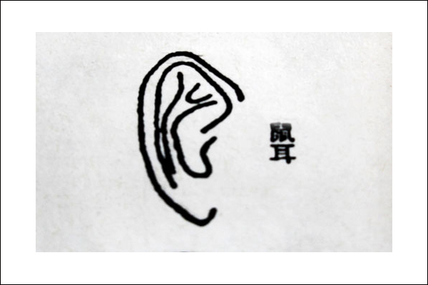 富态又贵气的5种耳朵,婚姻幸福,财源滚滚,一举致富阖家兴