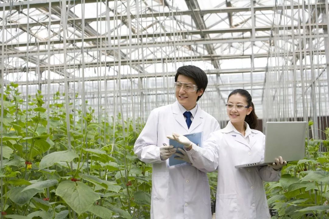 中国在农业研究中的这个分数意味着什么?