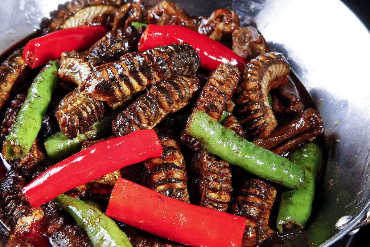 快来学会这个小妙招在家也能做出美味可口的干锅泥鳅呢