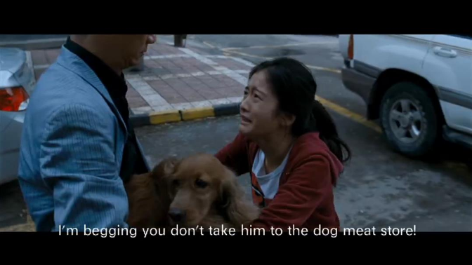 电影《狗13》简评:冲击力十足的现实主义文艺片