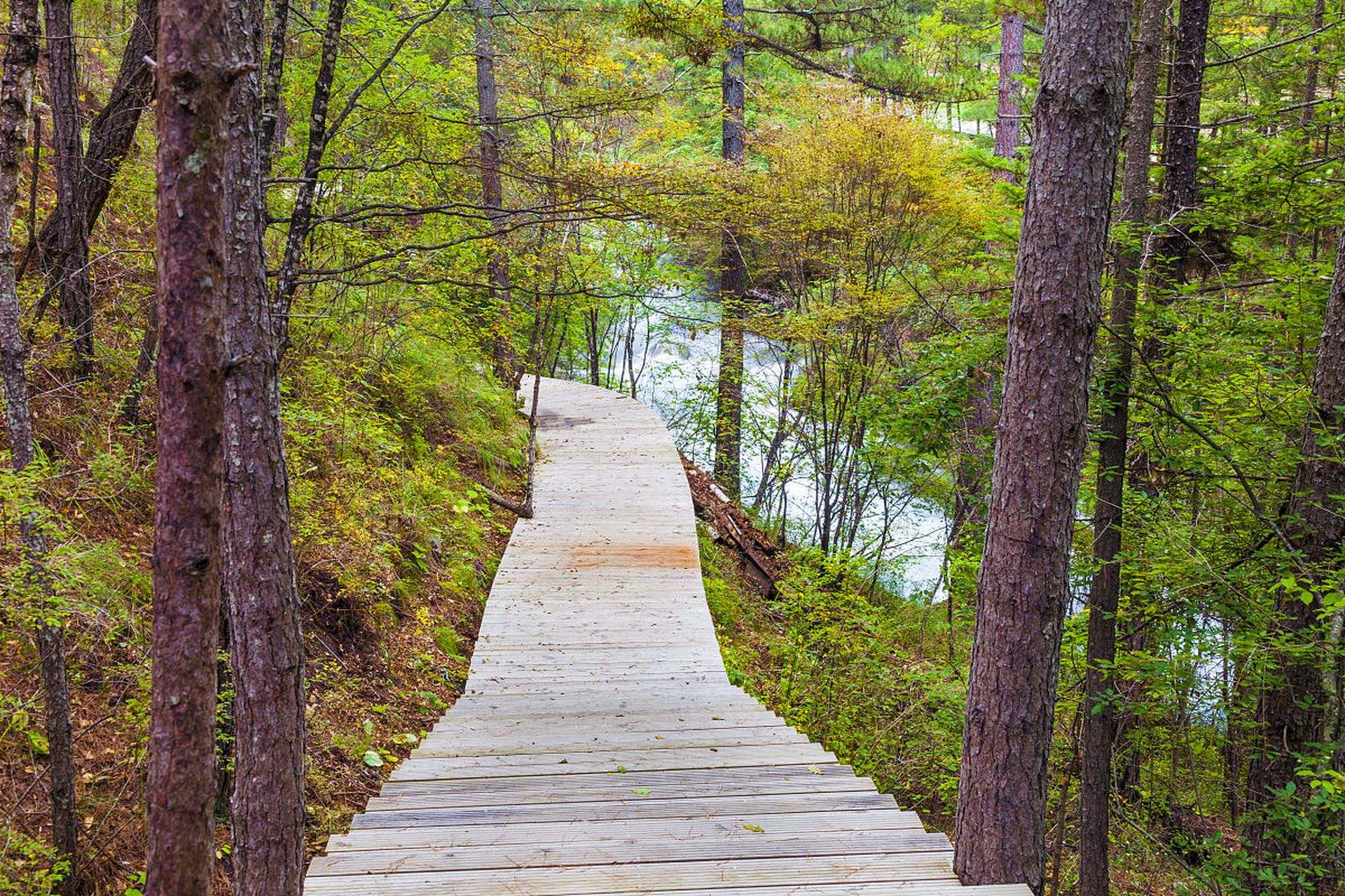 桦林公园是阿勒泰冬季的自然之美精灵,公园内雪树成林,设有儿童游乐区