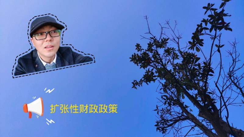 扩张性财政政策和紧缩性财政政策的区分讲解,财经,宏观经济,好看视频