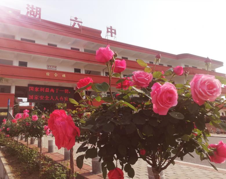 巢湖市六中:岗上花开,月色欸乃,最美六中等您来