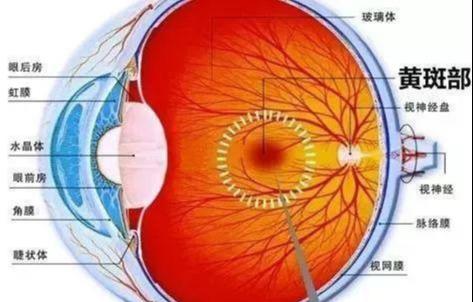 不要眨眼,带你走进高度近视眼中的世界