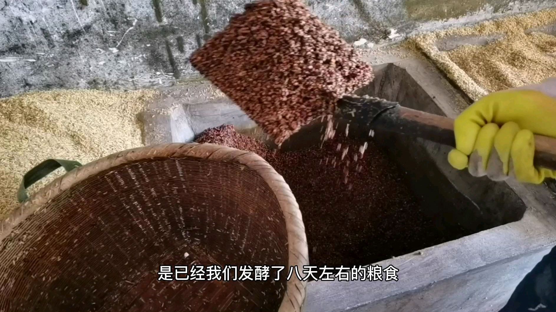 传统工艺固态酿酒蒸馏原理,白酒的制作过程,高粱酒制作过程
