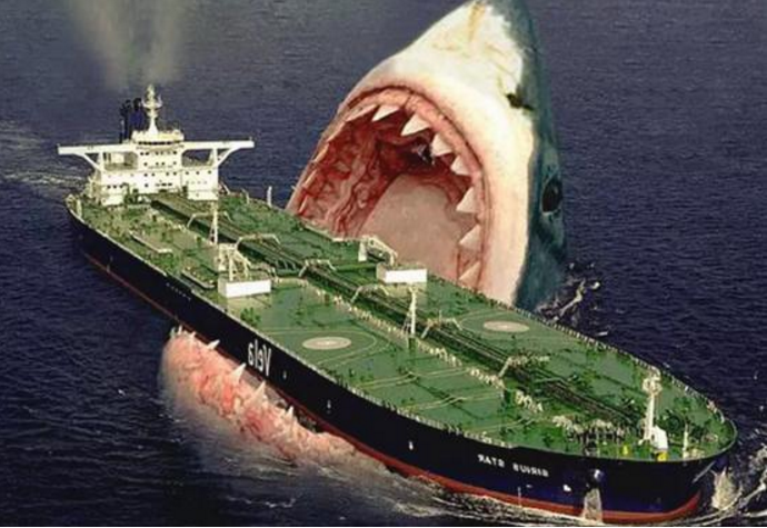 一张图告诉你巨齿鲨到底有多大!网友:这是见过最真的假鲨鱼