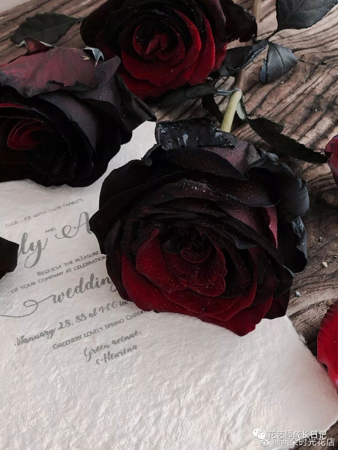 卡门玫瑰|介于天使与恶魔之间最魅惑的玫瑰,酷女孩的最爱