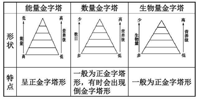 地球上交配次数最多的动物是什么?