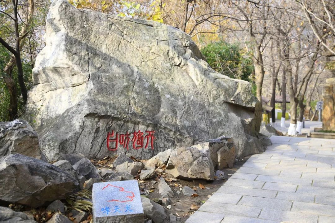 沐浴着春风春光,让我们一起走进国家级地质公园-花果山的怪石园