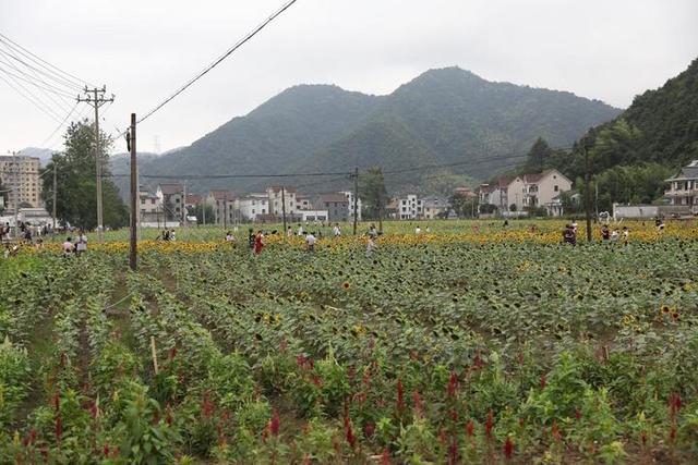 放河灯尝美食 富阳银湖趣村游等你来