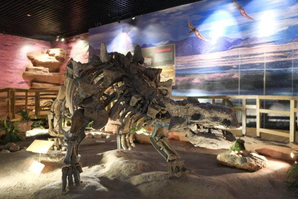 马宅镇杨岩村:"东阳盾龙"的发掘地