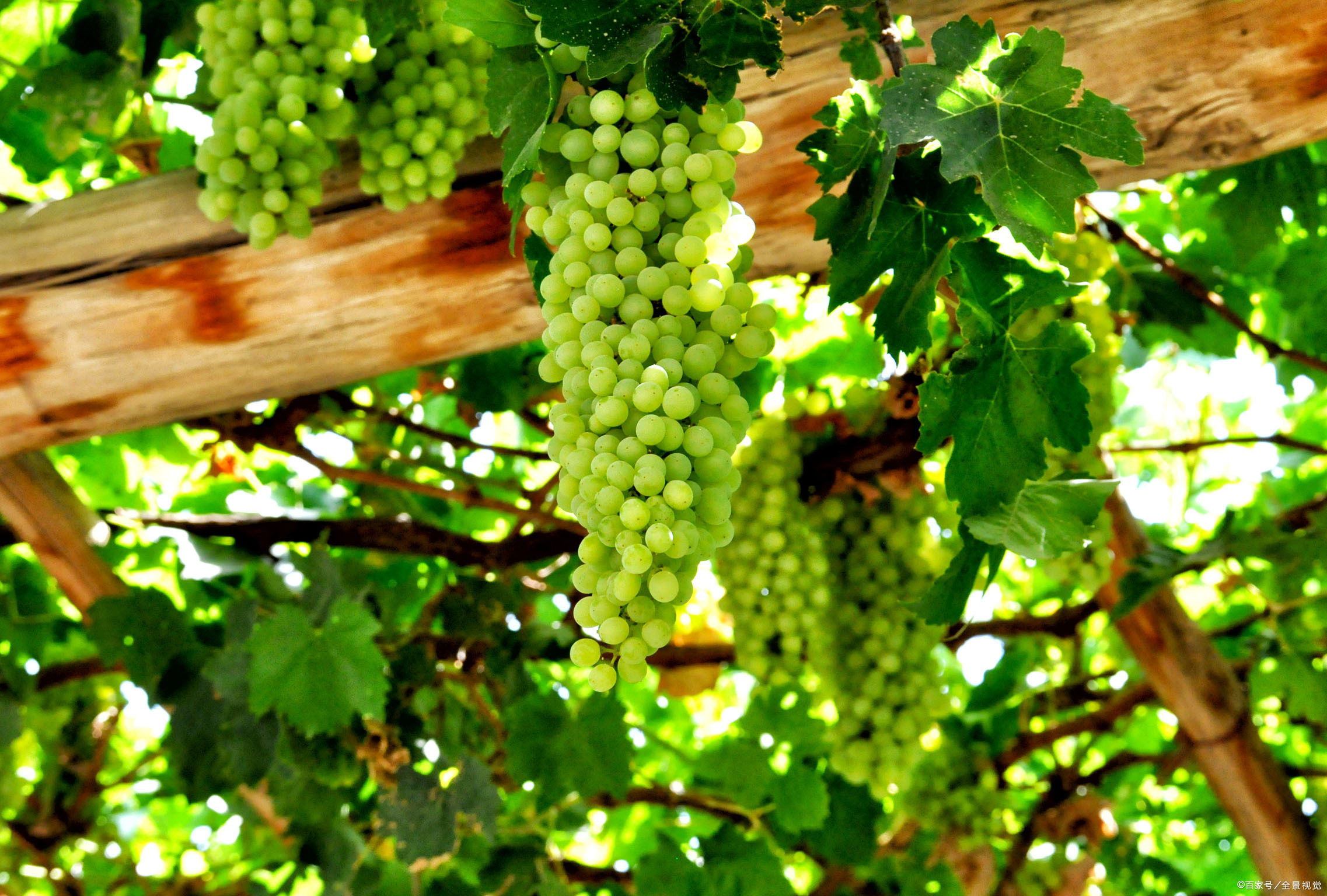 搭架- 热门商品专区