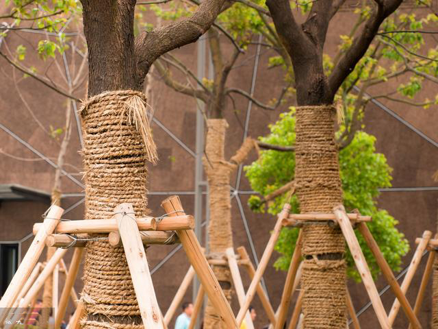 树- 热门商品专区