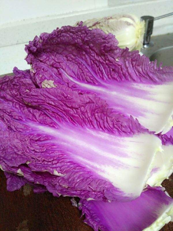 紫色白菜,只卖菜心不卖叶"紫色白菜"是染色的?转基因的?
