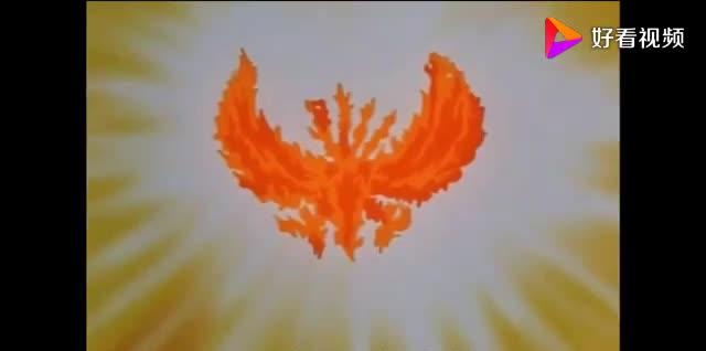 "摄影师"凤王在动画出场过几次?