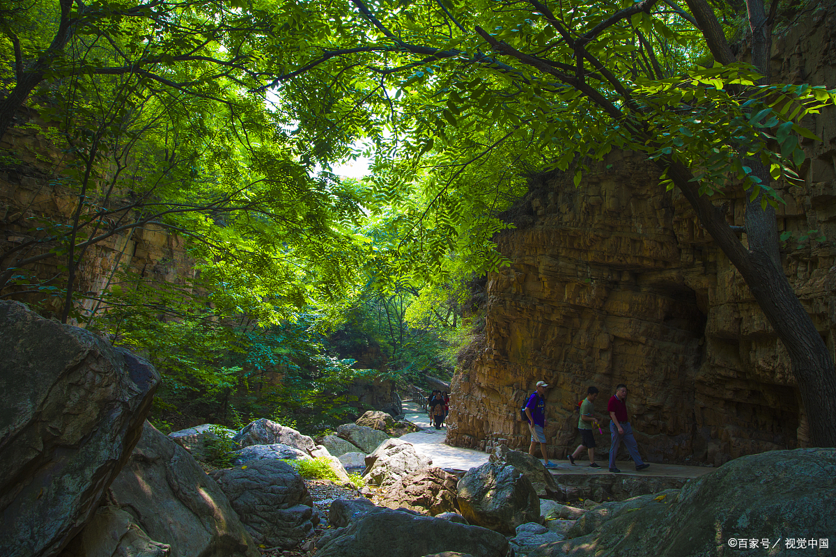 朝阳槐树洞发现,林间秘境不断有新,探索乐趣多!