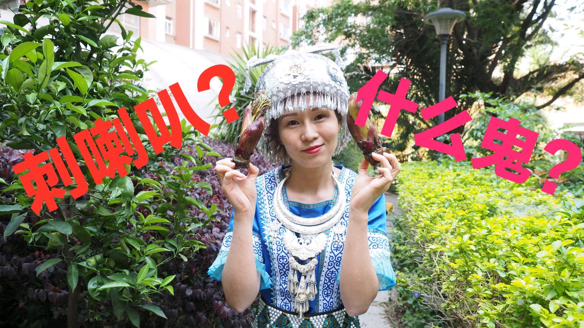 云南真是什么菜都能吃?刺喇叭?树头菜?小橘表示是个什么鬼?