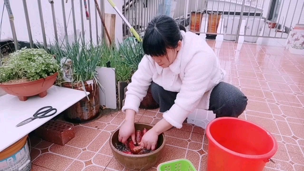 煤气灶坏了!红梅用电饭锅蒸一锅红薯,和两娃围着吃!又甜又糯