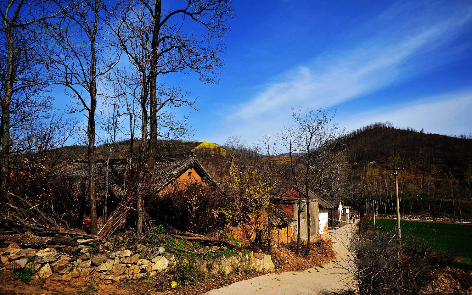 嵩县大坪乡万亩油菜花风景实拍