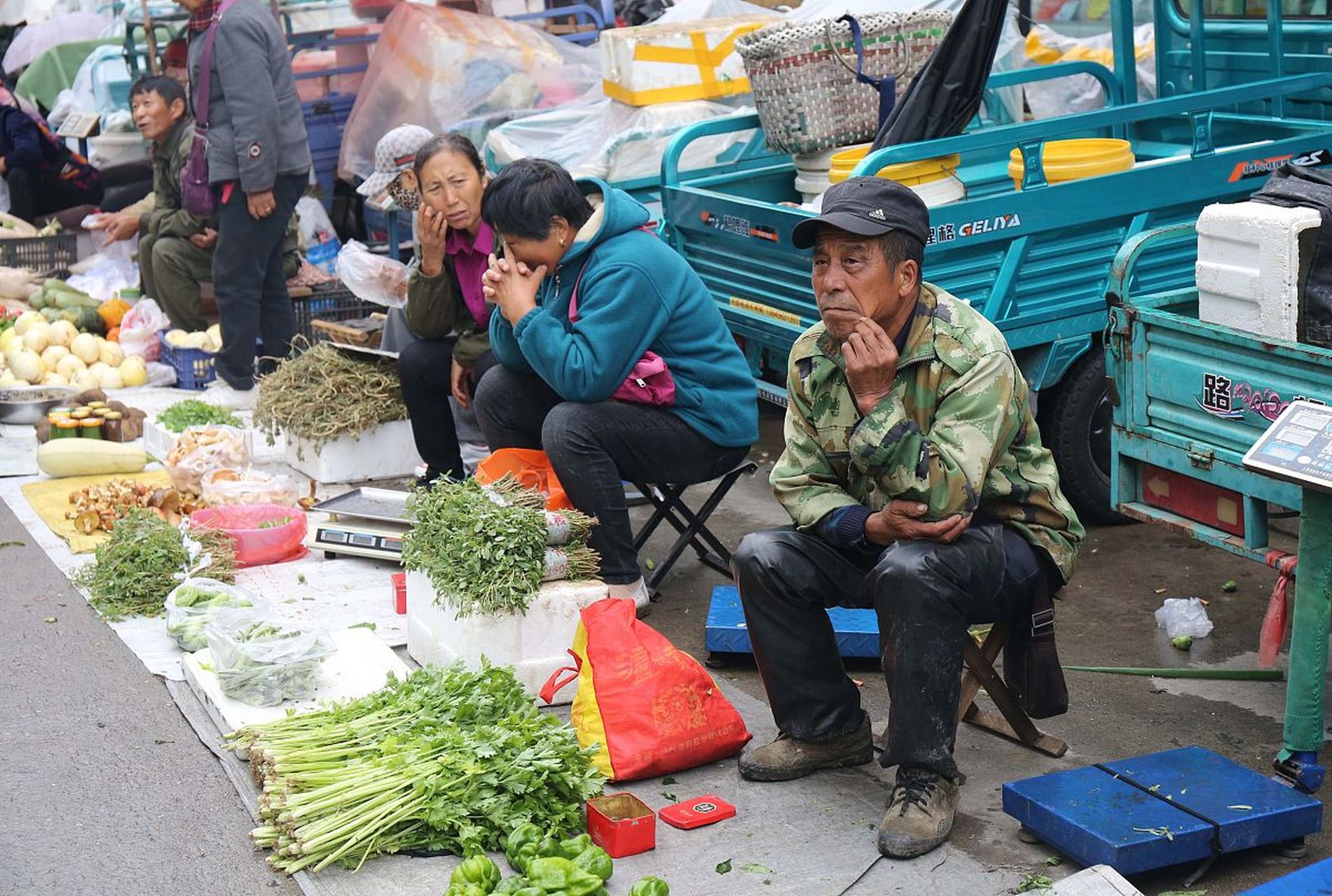 一位老农陈老伯因转卖隔壁邻居家种的芹菜获利14元,却因为该批次芹菜