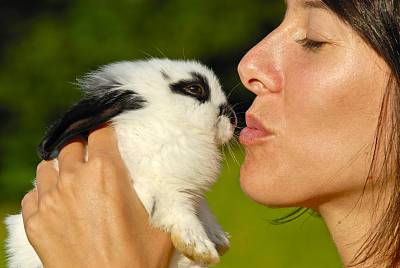 萌宠总动员:兔子,这些兔子真的太可爱了,想自己养一只兔子