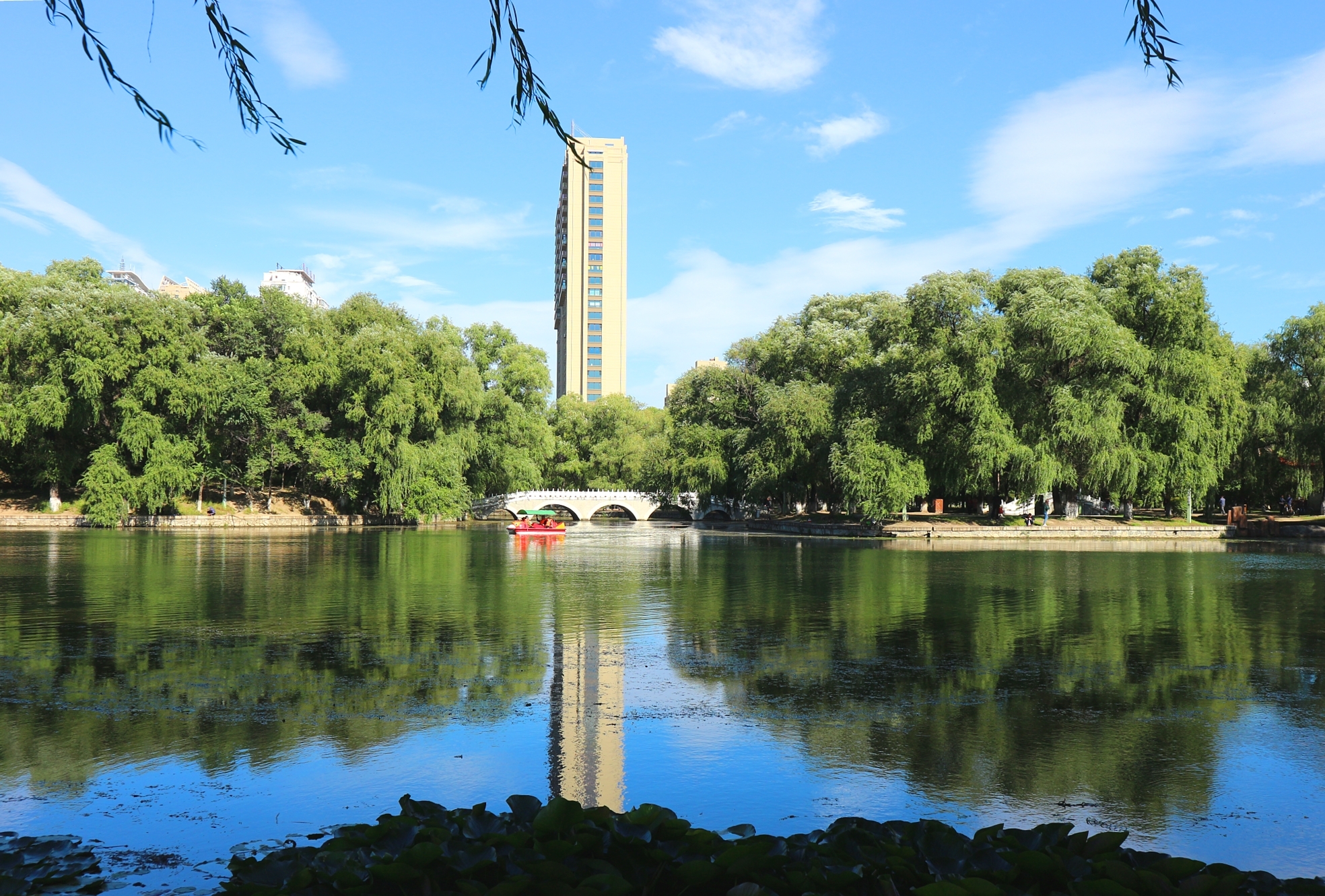 佳木斯的杏林湖公园,到底有几座桥?