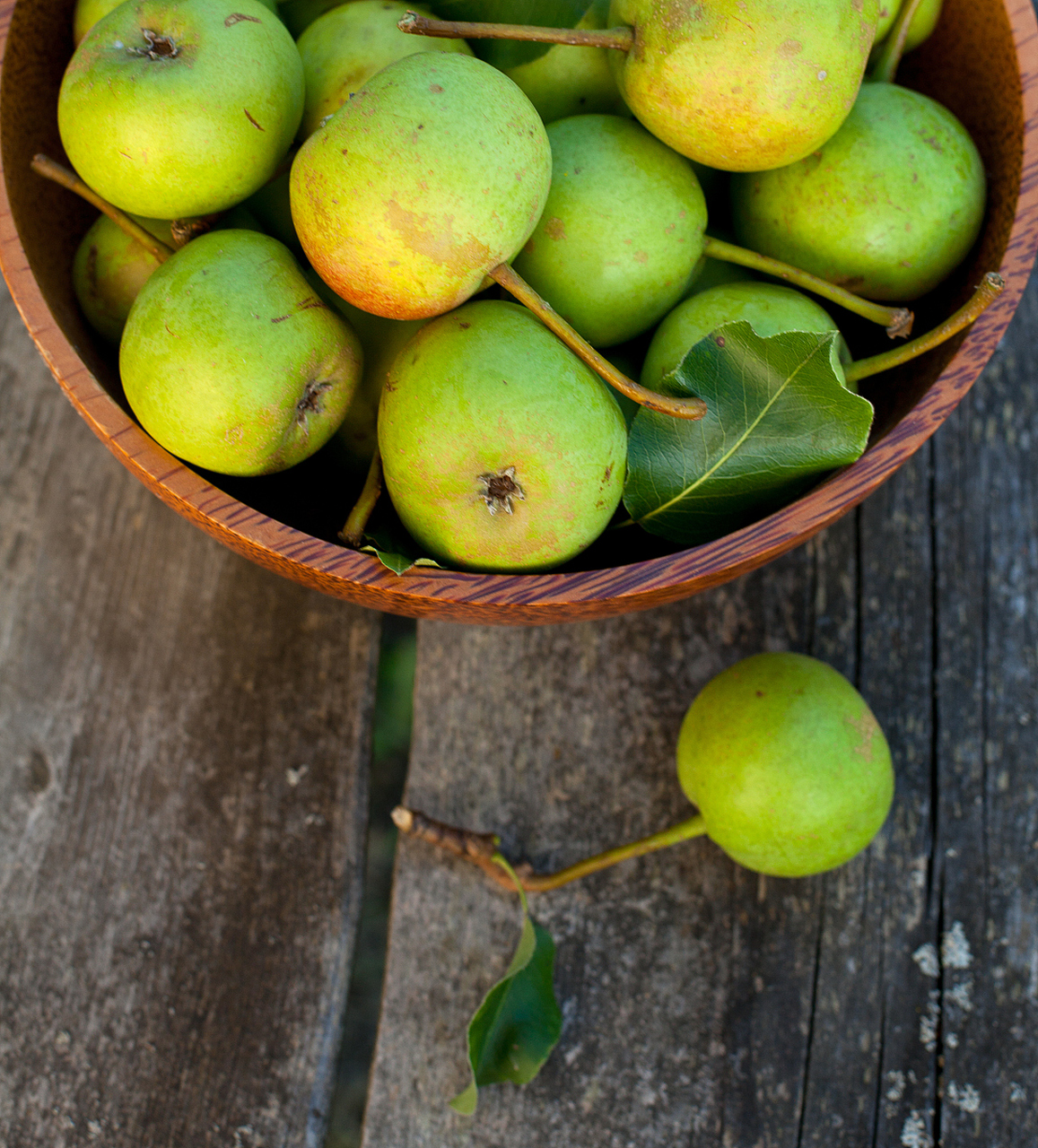 说到苏州的特产,那真的是数不胜数,但要是提到西山青种枇杷,我可就得