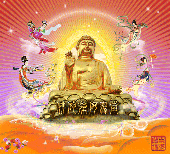 570_516gif 动态图 动图