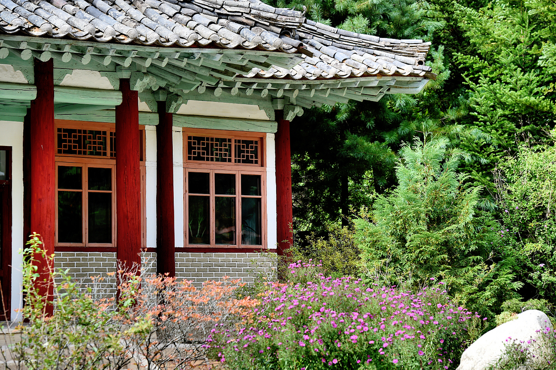 2006年,朝鲜大榆洞,一个岁月沧桑的老人缓缓地踏上了祭坛,她的姓名是