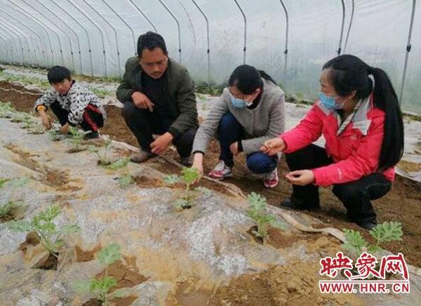 驻马店驿城区蚁蜂镇小邓庄:昔日贫困村 今朝面貌新