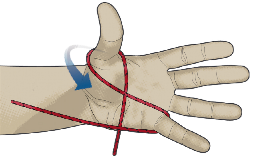 野外指南:如何在没有绳子的情况下制作绳子