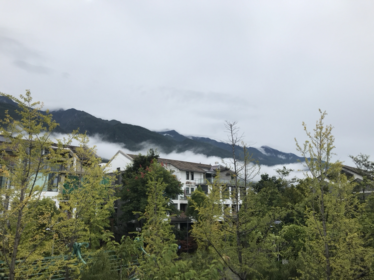 落花成泥 大理潘正伟