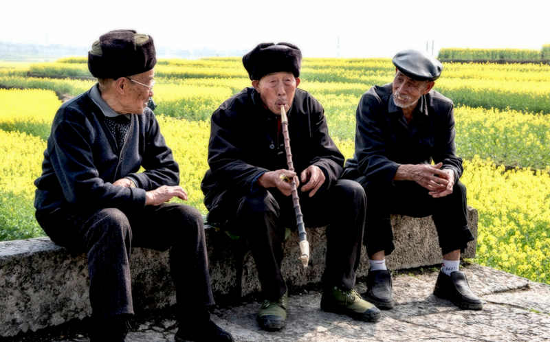 民间灶马头说年景:猪年到了,19年是几龙治水,几牛耕田?