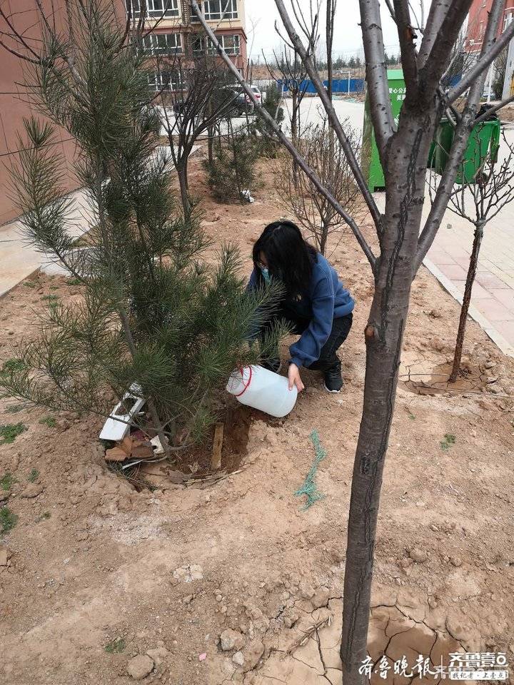 大学生植树节浇水图片图片