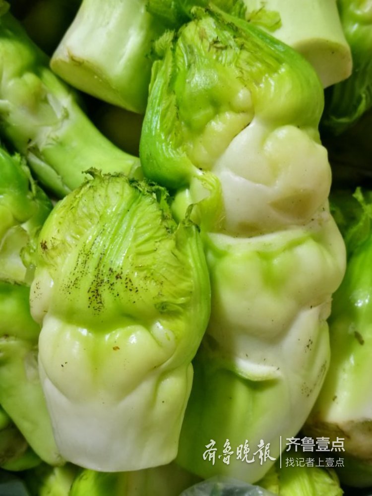 多心菜见过吗?吃过的人举手!