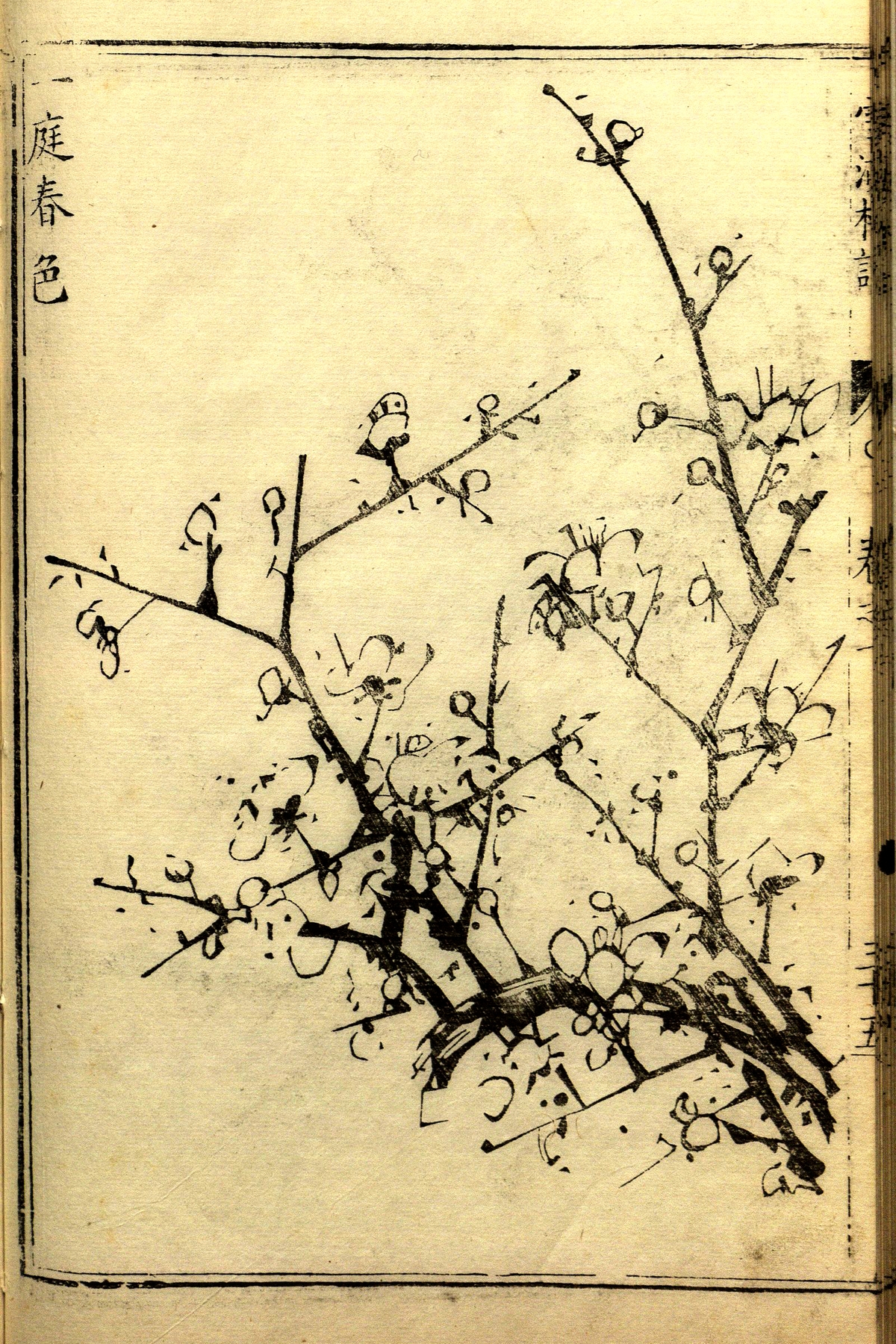 又一组梅花画谱!老树虬枝,苍劲高洁!