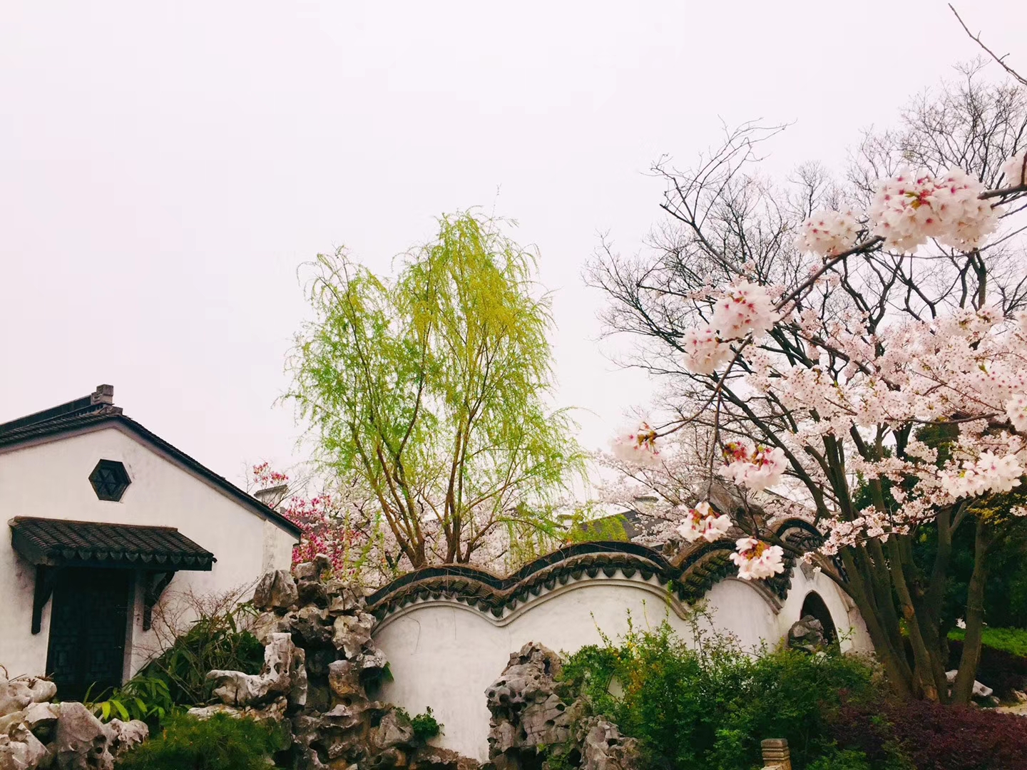 无锡最具江南风情的巡塘古镇,春天美丽的像个花园
