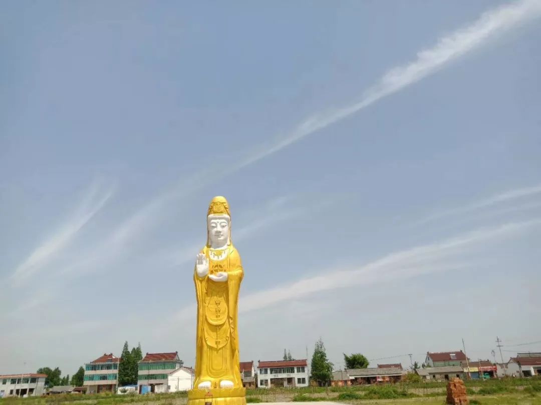 东台市观音禅寺观音菩萨成道日放生祈福法会随喜放生功德芳名预览