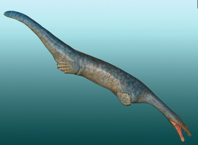 6,鱼龙(ichthyosaur): 鱼龙跟海豚的外形很像,一般来说,它们的长度在2