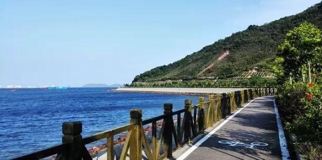 民生丨大亚湾绿道(衙前至小桂段)路灯已通电亮灯