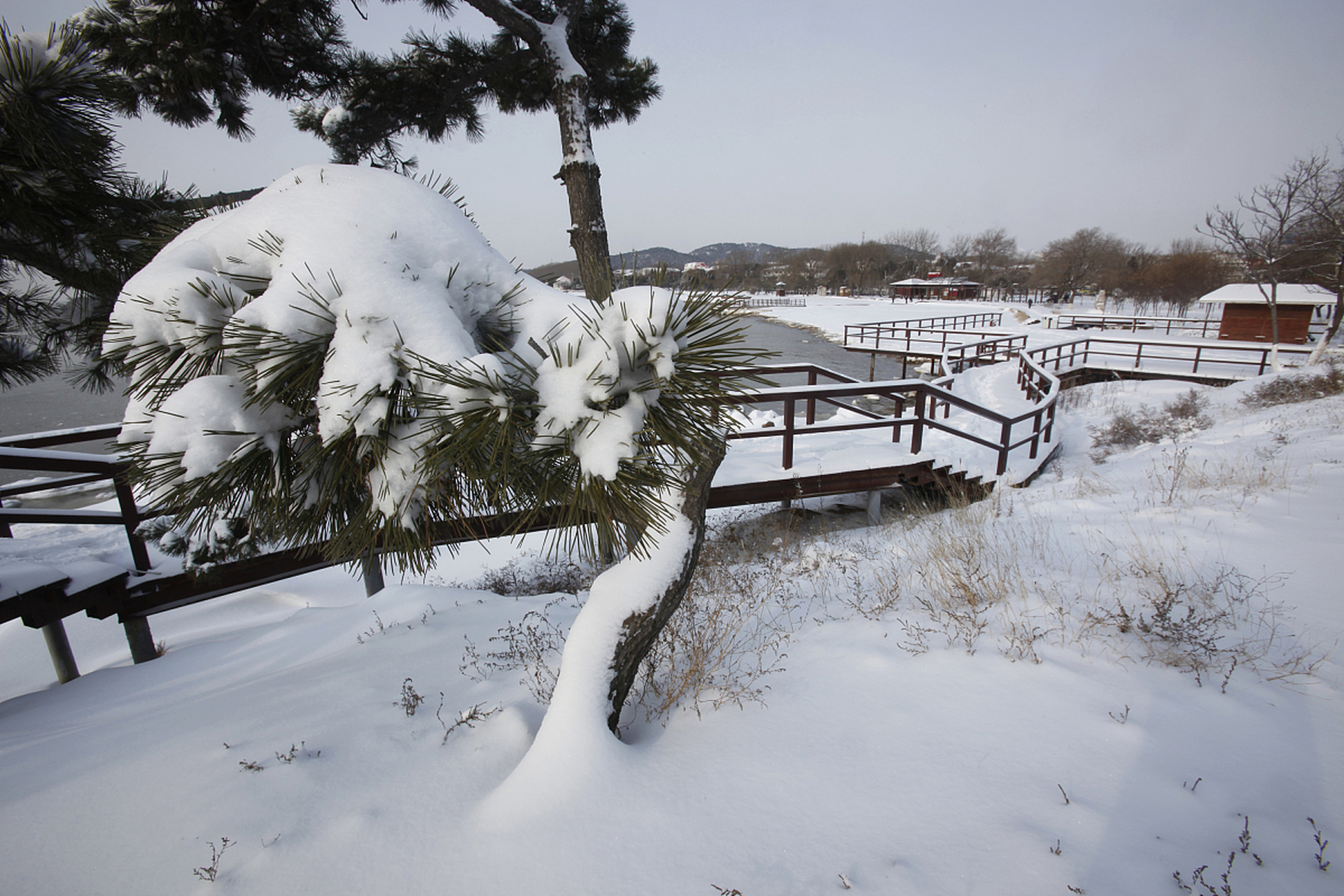 🏞️ 白雪皑皑的东洲公园:东洲公园位于江苏省南通市海门区,是一