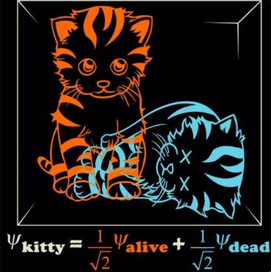"薛定谔的猫"究竟有多恐怖,看完改变你对世界的看法