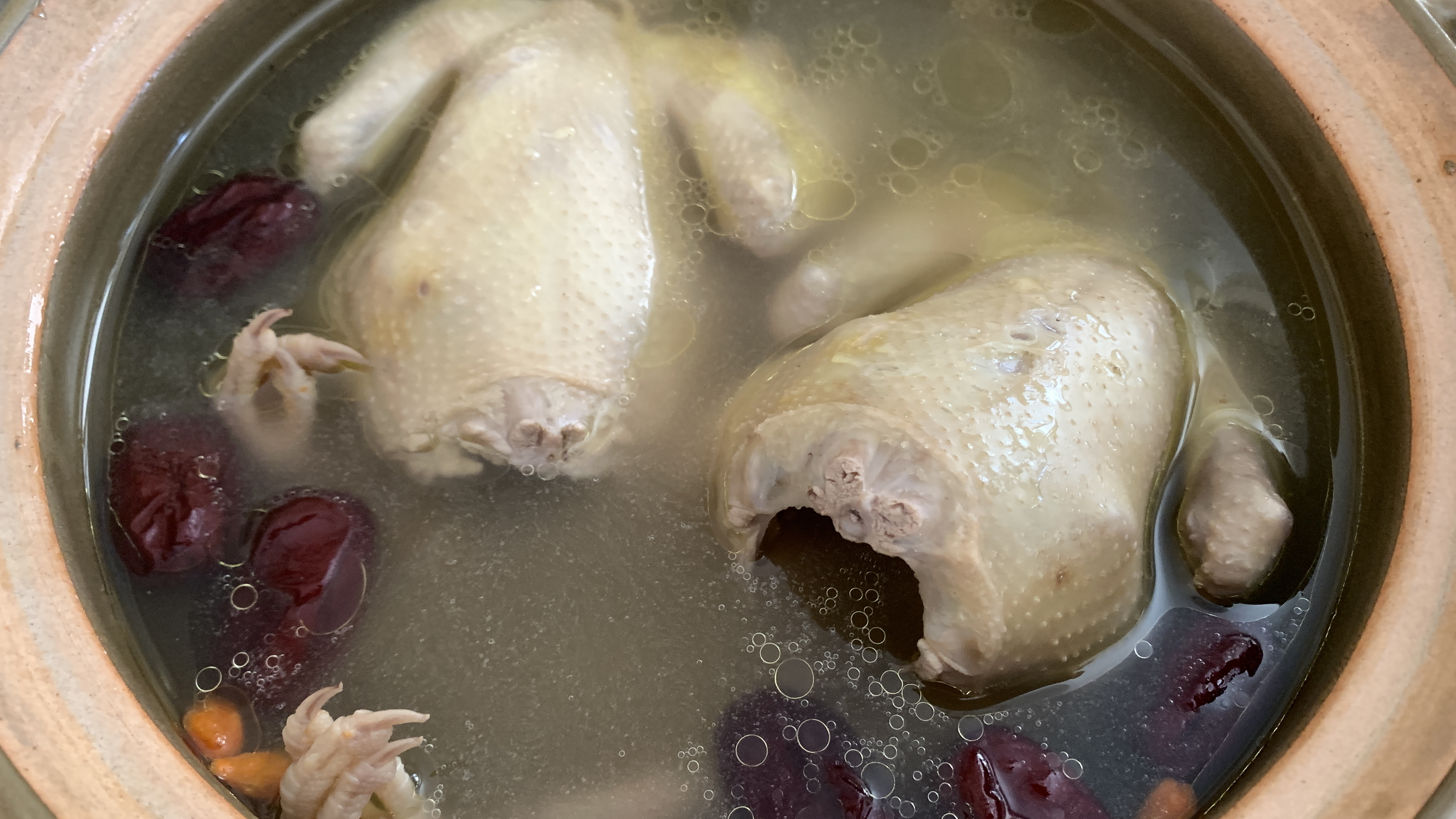 乳鸽不用再烤啦,广东阿姨带你做乳鸽汤,广式老火靓汤2分钟会