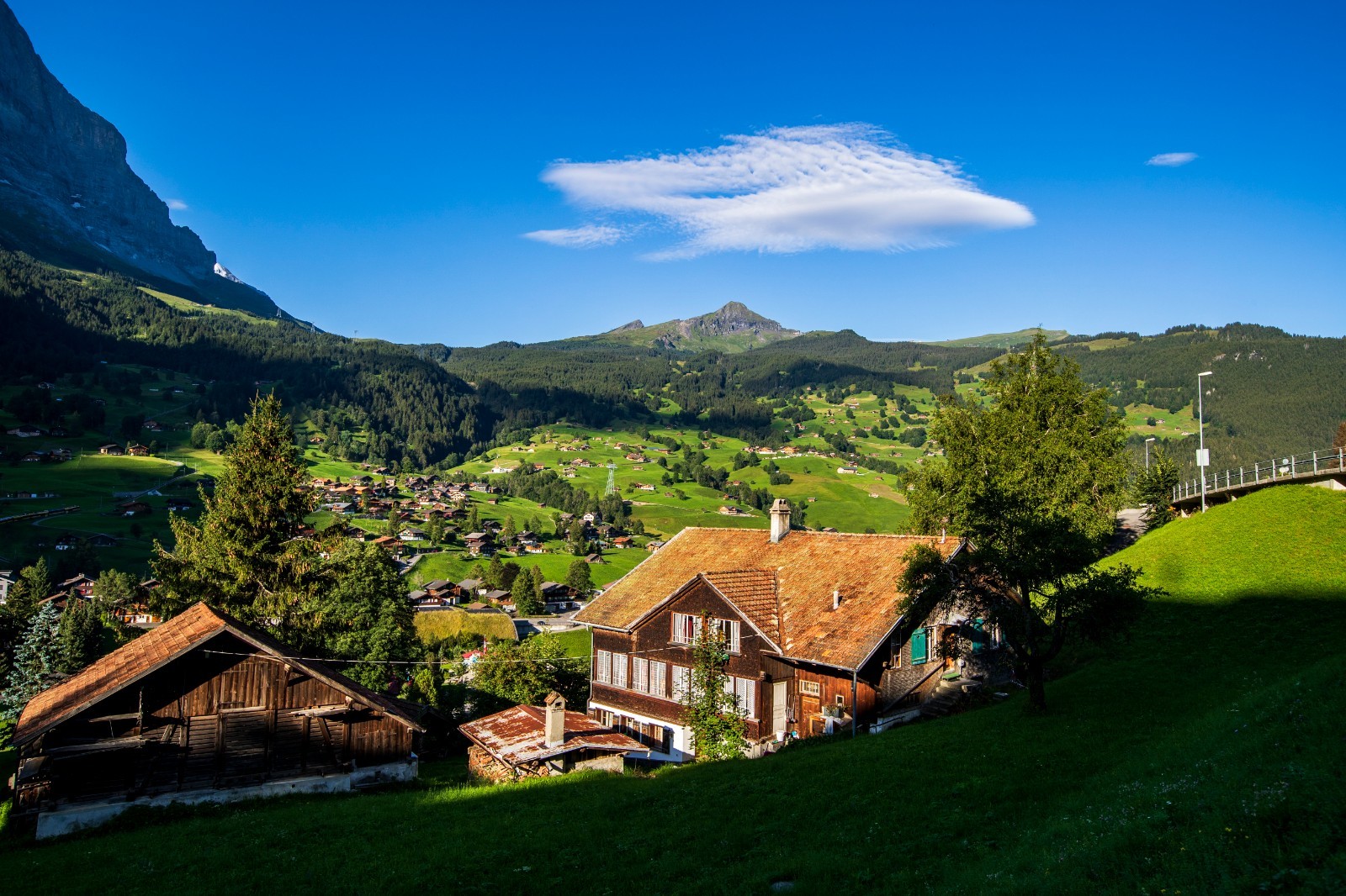 风光摄影:瑞士格林德瓦迷人的"梦幻山坡"