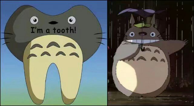 龙猫变成一颗牙齿以后的样子还可以,其实龙猫本身就是一个圆滚滚的