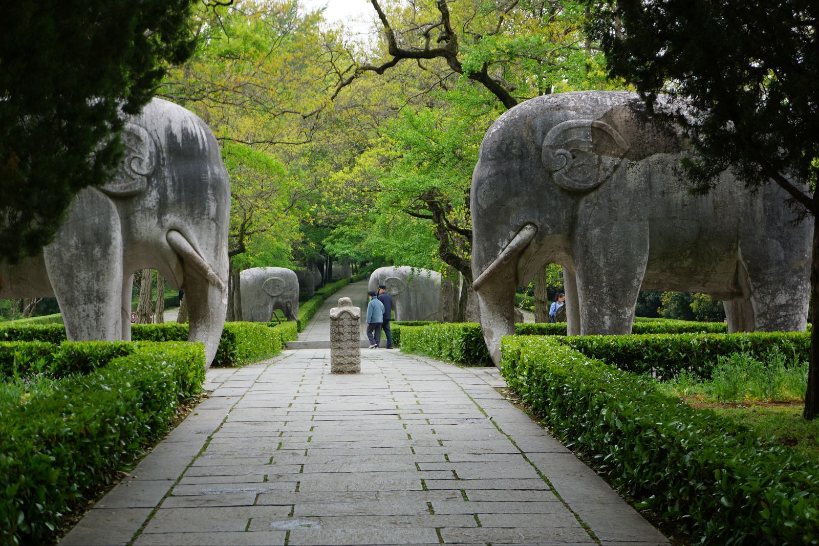 南京明孝陵图片欣赏图片