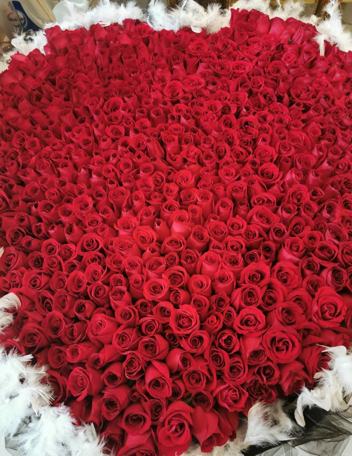 杨钰莹生日收到999朵玫瑰,趴花束上嫣然一笑